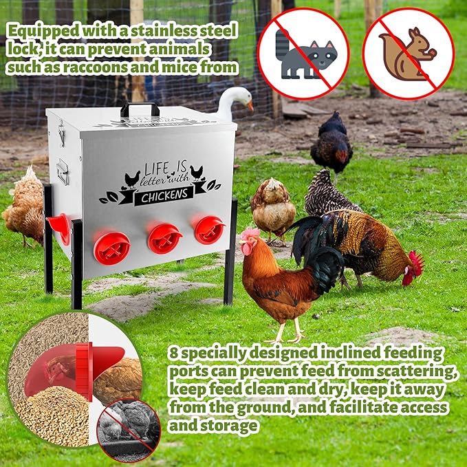 50LB Large Automatic Chicken Feeder Galvanized Metal Chicken Feeders with 8 Feeding Ports No Waste Outdoor Poultry Feeder with Adjustable Height Legs and Locking Lid for Chickens and Ducks