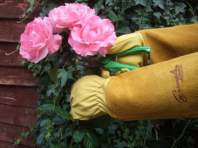 Rose Pruning Gloves for Men and Women - Thorn Proof Goatskin Leather Gardening Gloves with Gauntlet (Medium, Yellow)