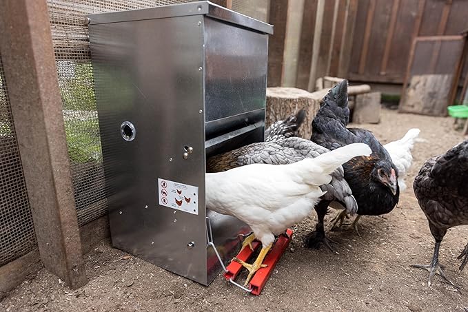My Favorite Chicken 40lb Automatic Metal Poultry Treadle Feeder – Rust-Resistant, Self-Adjusting, and Eco-Friendly Feed Management