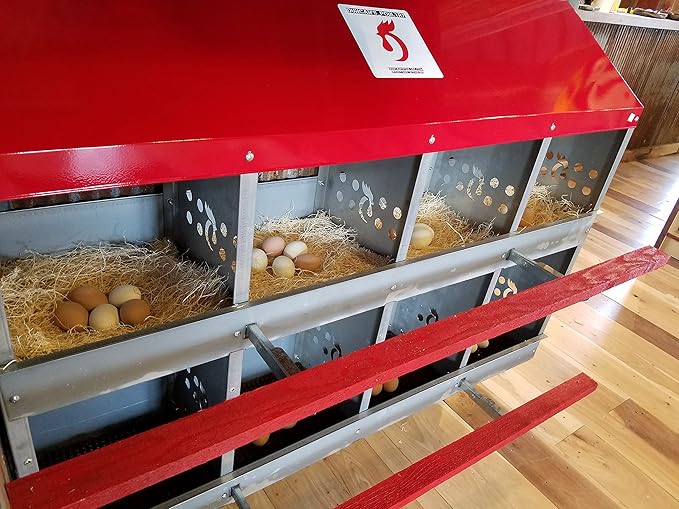 Duncan's Chicken Nesting Boxes - 8 Hole Metal Poultry Nest Box Wall Mount for Chickens, Hens, Ducks - Easy Egg Collection - Large Vented Holes - Fold Up Perches