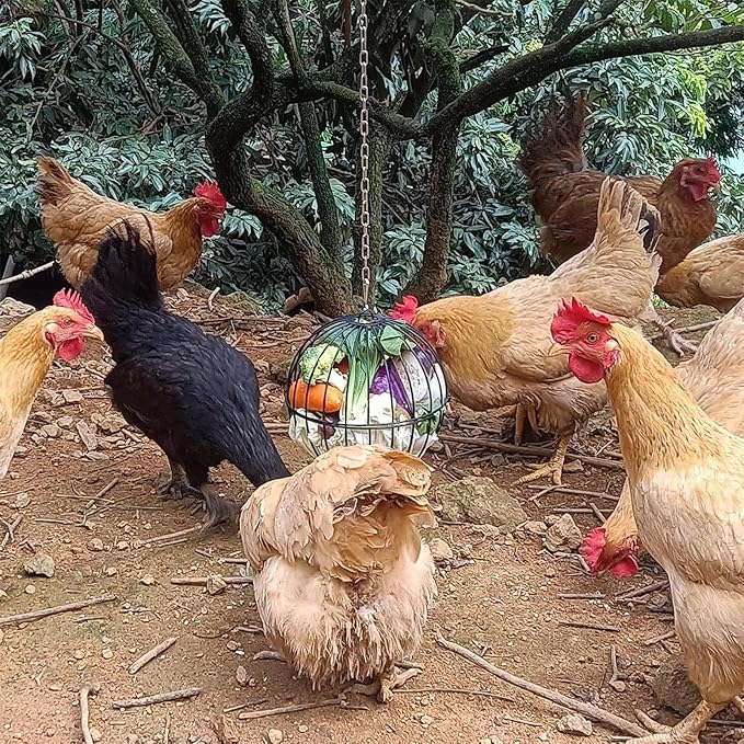 Hangings Chicken Feeder, Adjustable Height Design, 19x19x19cm, Hen Food Dispenser, Hangable Chicken Food Dispenser, Sturdy Metal Construction, for Ducks, Quails, Goats, Horses, Deer, and Farm Animals