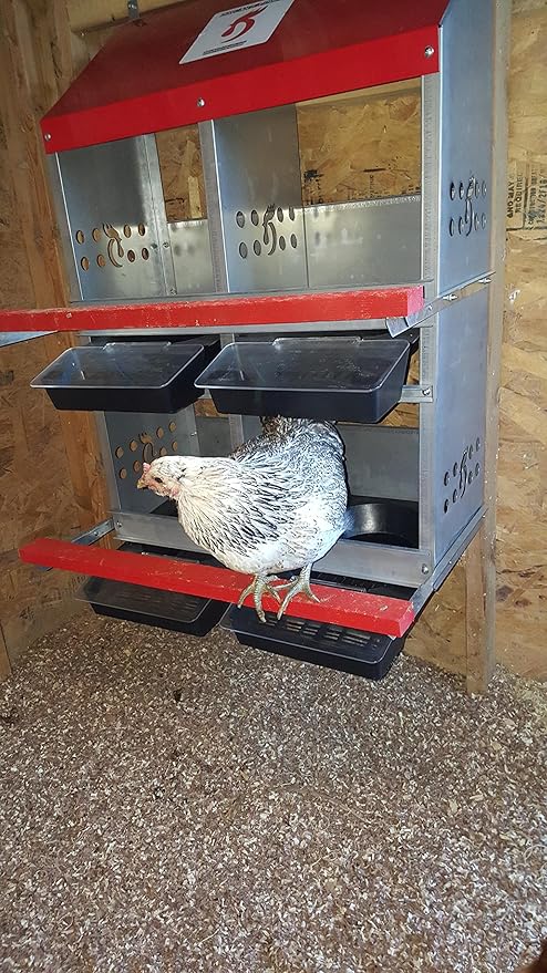Duncan's Rollaway Nesting Boxes - 4 Hole Metal Poultry Nest Box for Chickens, Hens, Ducks - Large Rollout Egg Laying Boxes - Rust Proofed Construction with Large Vented Holes