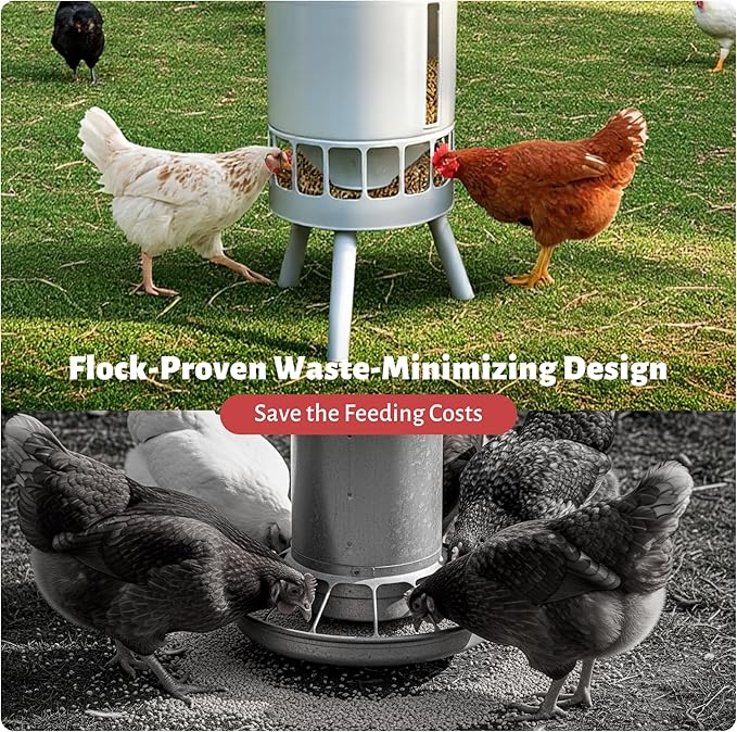 KOL 50LB Metal Chicken Feeder - No Waste, No Clog Design with 16 Ports & Smooth Gravity-Flow, Powder Coated Rust-Proof for Coop Use (Jade White)