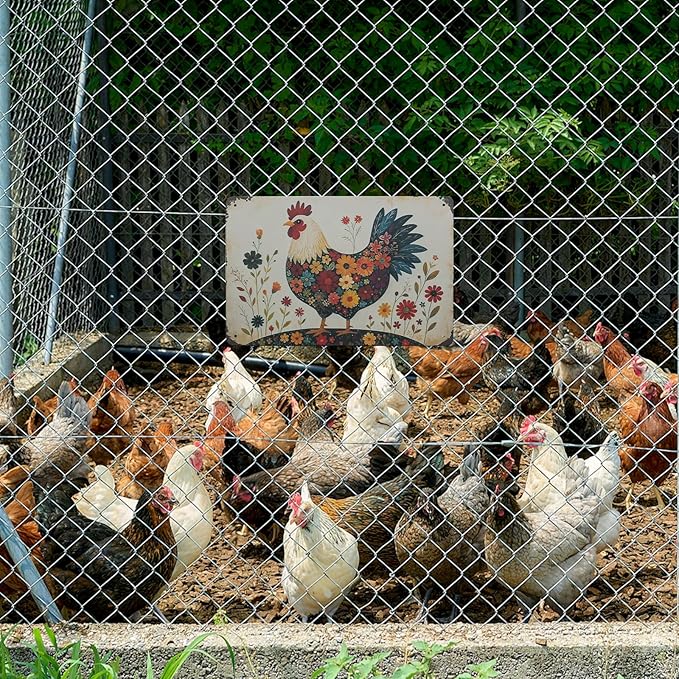 Funny Tin Signs Chicken Coop Decor Outdoor Vintage Rooster Gifts Yard-signs Decorative Signage For Farm and Garden 8×12 inches (J)