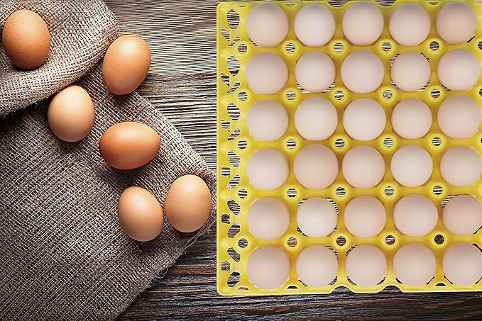 10Pcs Plastic Egg Tray 30-Cell Egg Flats Egg Crates, Stackable Egg Cartons Flats for Egg Packing, Storage, Shipping Fresh Eggs