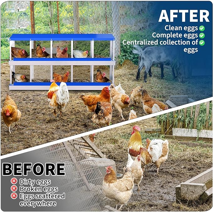 Nesting Boxes for Chickens - 10-Hole Premium Laying Boxes for Hens | Features Anti-Peck Design, Protecting Eggs & Space-Saving Style | Durable Nesting Box for Easy Egg Collection and Happy Hens