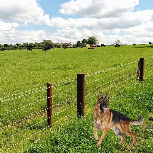 Cattle Fence 5ft x 164ft Heavy Zinc Coating Farm Fence,Galvanized Field Wire Fencing Deer Fence,Goat Fence,Hog Wire Fencing for Yard Livestock & Animals Protection