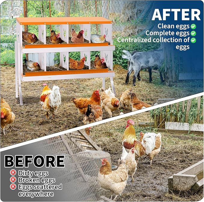 Chicken Nesting Box with Removable Tray,8 Compartment Nesting Boxes for Chickens,Easy to Clean and Install,Durable Chicken Laying Boxes for Chicken Coop,Protects Eggs-with Bracket Legs (Orange)