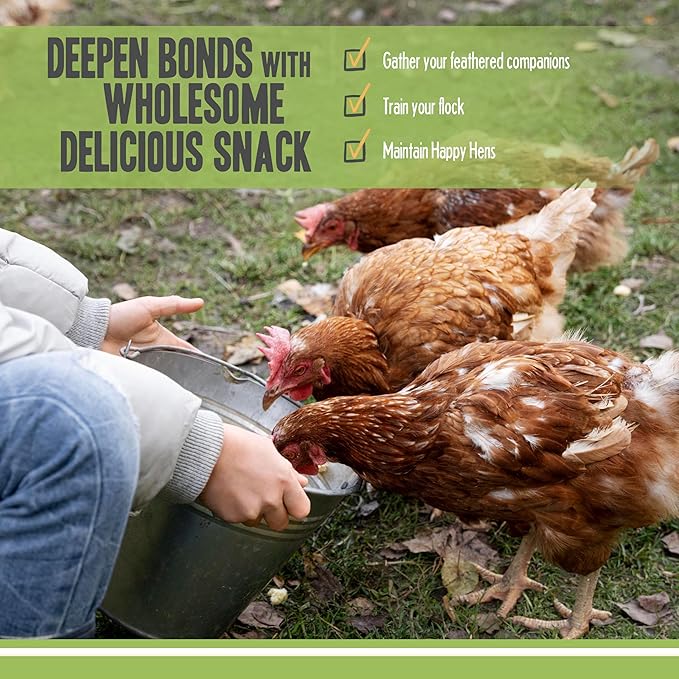 Premium Dried Black Soldier Fly Larvae for Chickens, High Protein Chicken Feed - All-Natural, Non-GMO Treat for Feather Growth and Immune Support - Ideal for Chickens, Ducks, and Quails - 5lb