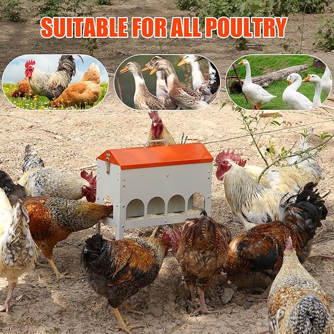 Chicken Feeder No Waste 15 Pound 7lb,10 Feeding Ports,with Metal Feeder Box Stands for Chicken Poultry Duck,No Food Buildup at The Bottom