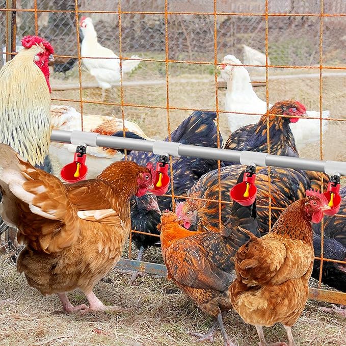 12 Pack Chicken Waterer PVC Tee Fittings - Fully Automatic for Threaded Chicken Waterer Nipples/Cups/Feeders/Poultry Water Drinker, White