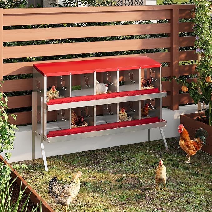 Metal Nesting Boxes for Chickens - 10 Compartments Chicken Roosting Boxes, Chicken Coop Nest Box with Legs, Perch & Lid - Versatile Wall Mount or Free Standing for Backyard Flock, Homestead, Farm