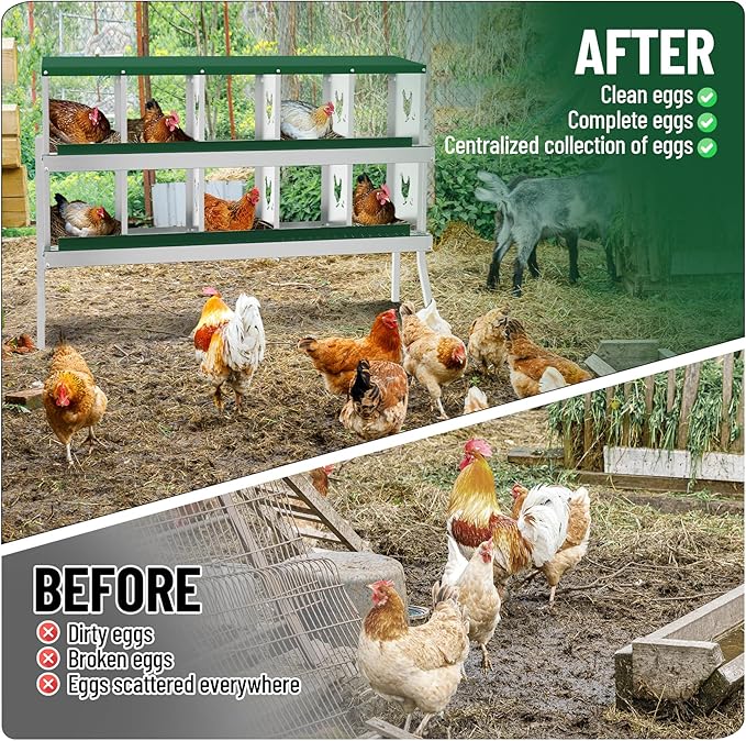 10 Holes Chicken Nesting Boxes, 2 Tiers 10 Compartments Metal Egg Laying Boxes with legs, Wall Mount or Free Standing, Ventilated for Chickens, Hens, Ducks, Farm, Yard, Poultry Coop Accessories, Green
