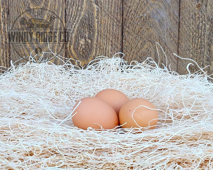Natural Chicken Nesting Pads - 10 Pack - Aspen Excelsior Bedding Hen Nest Box Liners - USA Made - 13" x 13"