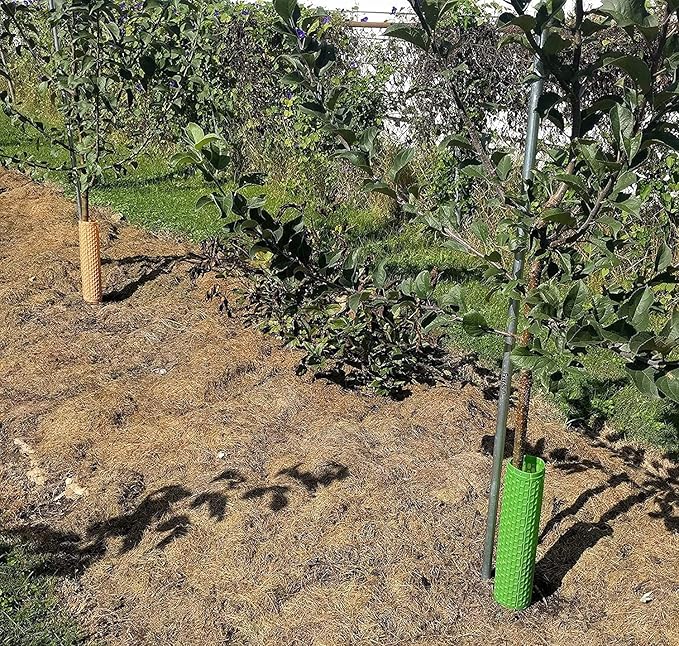 Plant and Tree Guard Protector; Wrap Tall Expandable Grow Tubes Around Trunk Bark, Landscape Plants, Saplings, and Vines; Protection from Trimmers, Weed whackers, and Animals (24, Green)