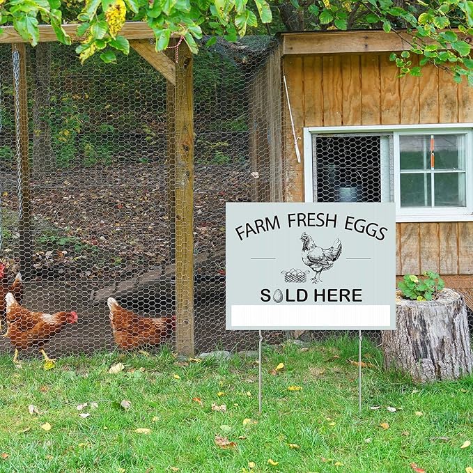 Soaoo 5 Pcs Farm Fresh Eggs Sold Here Sign 16 x 12 Inch Double Sided Fresh Eggs for Sale Sign Corrugated Plastic Chicken with Stakes Easter Egg Sale Signs for Indoor Outdoor Yard
