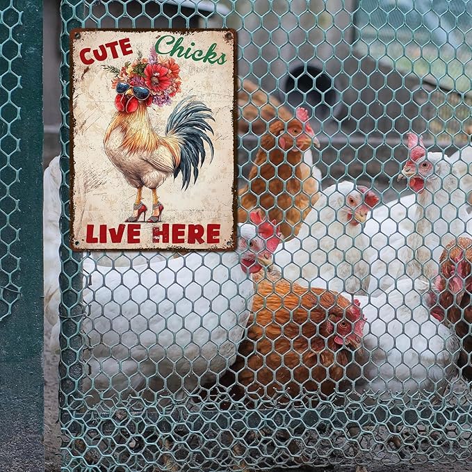 Vintage Chicken Coop Tin Sign Cute Chicks Live Here Retro Metal Poster Funny Pet Lovers Wall Art Accessories for Coop Shop Bar Farmhouse Garden Plaque Farm Room Bathroom Restroom 12 * 16inch