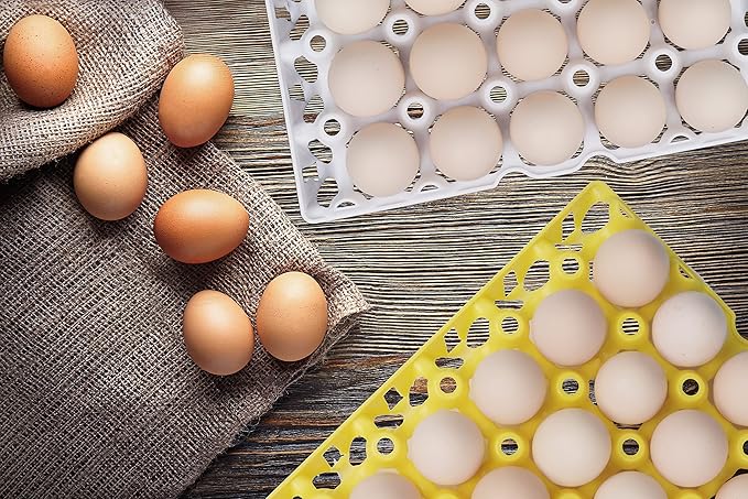 10Pcs Plastic Egg Tray 30-Cell Egg Flats Egg Crates, Stackable Egg Cartons Flats for Egg Packing, Storage, Shipping Fresh Eggs
