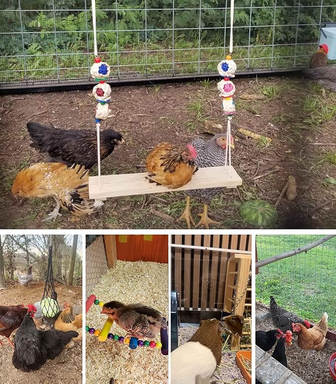Chicken Toys for Coop Accessories 6PCS -Swing, Mirror, Vegetable Hanging Feeder, Ladder, Treat Holder for Hens Rooster Chicks Poultry Enrichment Toys