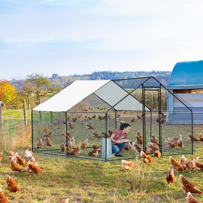 Outvita Chicken Coop, 10×10 FT Large Metal Chicken House, Poultry Habitat Cage with Waterproof Cover, Walk-in Chicken Run Pen for Small Animals Yard Farm Patio（Black Electrophoresis Process）