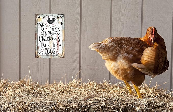 Chicken Coop Signs Outdoor Farmhouse Farm Spoiled Chickens Lay Better Eggs Tin Sign Funny Metal Signs Accessories Outdoor Home Wall Decor 8x12 inch