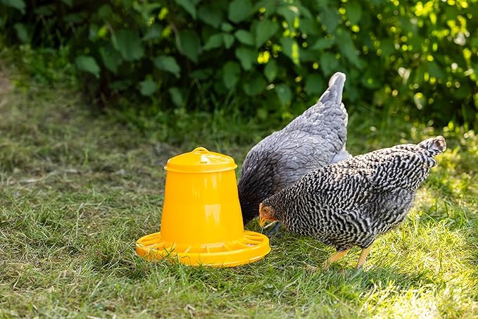 Kerbl Automatic Poultry Feeder Plastic Feeder for Ducks, Geese, Turkeys