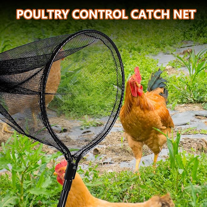 Catcher Net Small Animal Control Net Poultry Catching Trap Tool for Chicken, Duck, Goose, Fish, Cat, Dog and Others(43"- 78" Handle with 24" Net Opening) (Advanced Grey - Large)