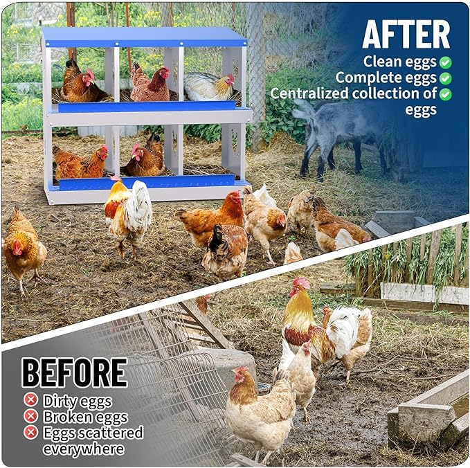 Nesting Boxes for Chickens - 6-Hole Premium Laying Boxes for Hens | Features Anti-Peck Design, Protecting Eggs & Space-Saving Style | Durable Nesting Box for Easy Egg Collection and Happy Hens