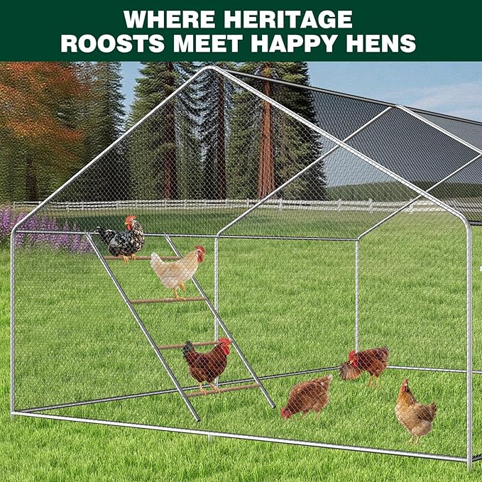 Chicken Perch Roosting Bars for Coop Farm Chicken Toys Roost Ladder for Backyard Poultry (58.2" L x 32" W)