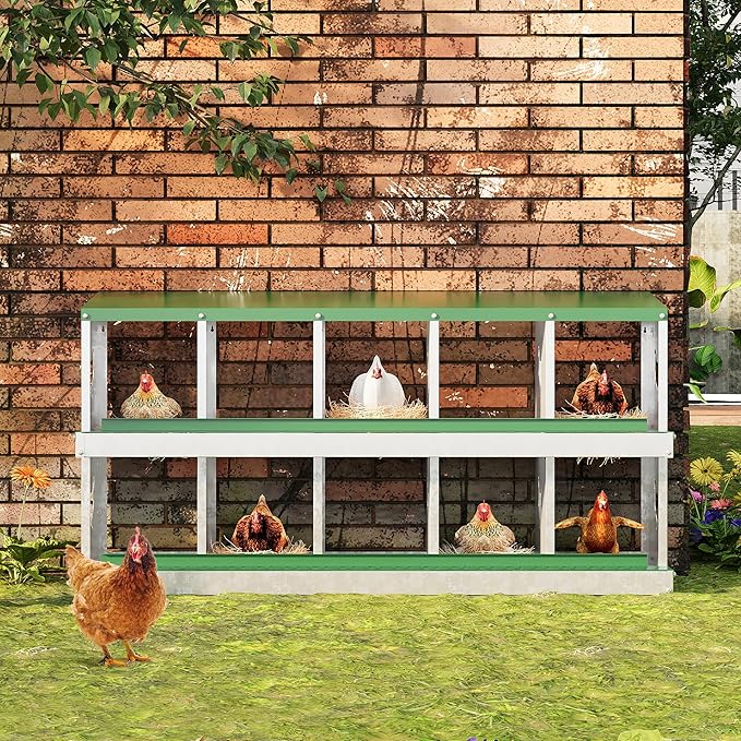Chicken Nesting Box, 10 Compartment Metal Chicken Nesting Boxes for Chicken Coop, Large Vented Holes Chicken Laying Boxes with Rollout Egg Collection, Wall Mount Chickens Coops