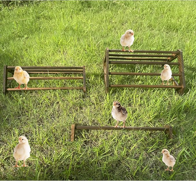 Chicken Perch 3 Pack Chick Toys Wooden Roosting Bar Chicken Coop Accessories for Brooder Training Perch for Baby Chick, Bird Parrot Easy to Assemble and Clean