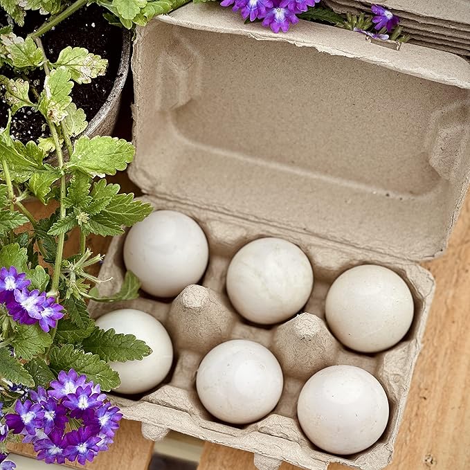 Henlay Half Dozen Duck Egg Cartons – Holds 6 Jumbo Eggs – Blank Top for Custom Labels – Eco-Friendly Paper Pulp – Ideal for Farm Fresh or Backyard Eggs - 20 Pack