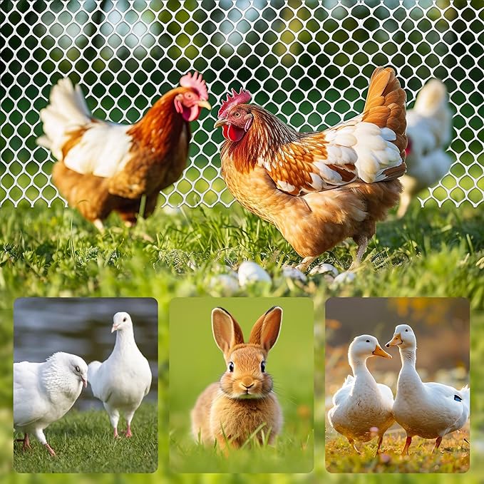 White Plastic Chicken Wire mesh 15.7IN x 33FT,Plastic Chicken Wire Fencing,Poultry Netting,Plastic mesh for Garden,Balcony Fence,Chicken Wire Frame for Crafts, Floral Mesh.with 100 Ties