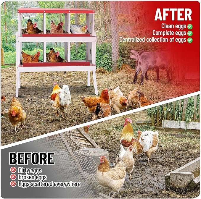 6-Compartment Metal Chicken Nesting Box - with Perch, Secure Lid & Metal Legs, Wall-Mount or Free-Standing Nesting Boxes for Hens