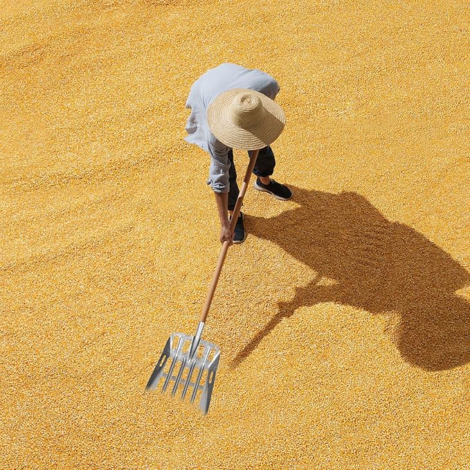 Veemoon Multi-Functional Grain Scoop Shovel for Corn Collecting and Farming, 35cm Wide Hollow Steel Maize Grain Spade, Farm and Garden Hand Tool for Harvesting and Soil Sifting