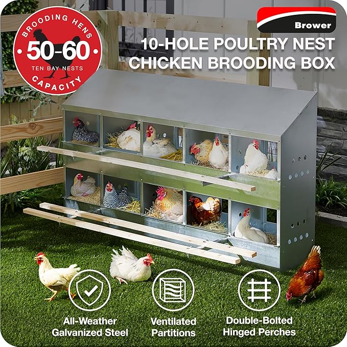 Brower 2-Tier 10-Hole Galvanized Steel Chicken Nesting Box, 50 to 60 Hen Capacity – Outdoor Poultry Laying Station with Hinged Folding Perches, Ventilated Design & Slanted Roof – Made in the USA