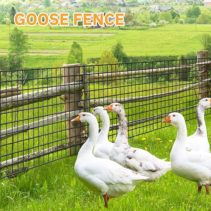 Black Metal Garden Fence, 72inch(H) x 100ft(L), 2 inch x 3 inch,14GA 2/3/4/5/6 Ft Tall Chicken Wire PVC Coated Welded Wire Mesh Roll for Dogs Border Yard Vegetable Plant Protection Poultry Netting