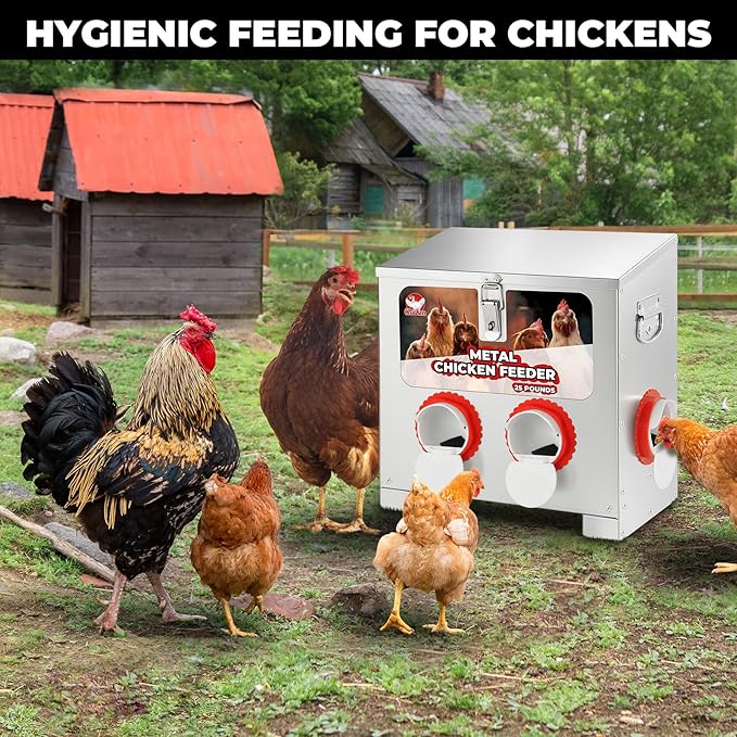 25 lbs 4-Port Automatic Chicken Feeder Box with Locking Lid&Riveted Handles,Chicken Feeder No Waste, Adjustable Legs for Chickens, Poultry Coop,Large Capacity Rainproof Metal Chicken Feeders
