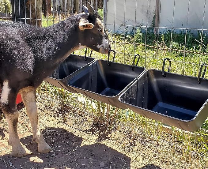 Hanging Chicken Feeder Trough for Goat Sheep Deer Poultry Duck Chicken Fence Feeder Livestock Feeding Container Goats Supplies Feeders Waterer Bucket (Matte Black)