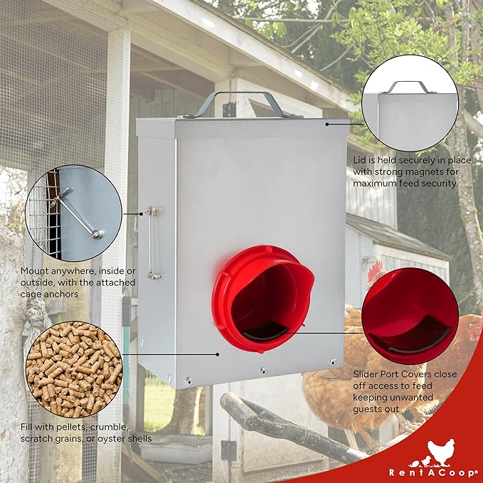 RentACoop 3 Pound Metal Chick2Chicken Medium Port Feeder