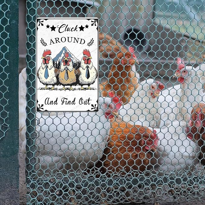 Vintage Chicken Coop Tin Sign Chicken Cluck Around And Find Out Retro Rooster Metal Poster Funny Pet Lovers Wall Art Decorations for Bar Farmhouse Garden Plaque 12 * 8inch