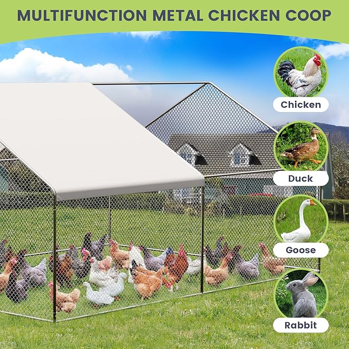 Large Walk-In Metal Chicken Coop with Run – 9.8'L x 19.7'W x 6.6'H Outdoor Chicken Runs with Galvanized Steel Frame, Waterproof & UV-Resistant Cover, Spire Roof for Yard, Farm, Chickens, Ducks & Rabbi
