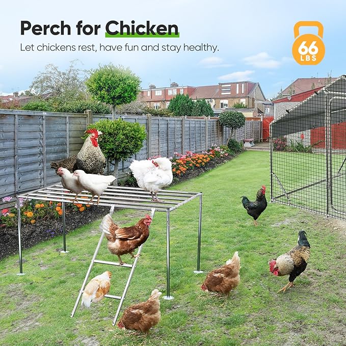 Quictent Metal Chicken Perch for Chicken Coop, All-Metal Heavy Duty Roosting Bar for Walk-in Run, Poultry Climbing Ladder Activity Gym Toy (Freestanding Platform)