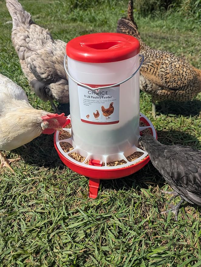 Hen's Choice 11 LB Poultry Feeder, Twist Lock Base, Adjustable Legs, Hangable with Lid (Red)