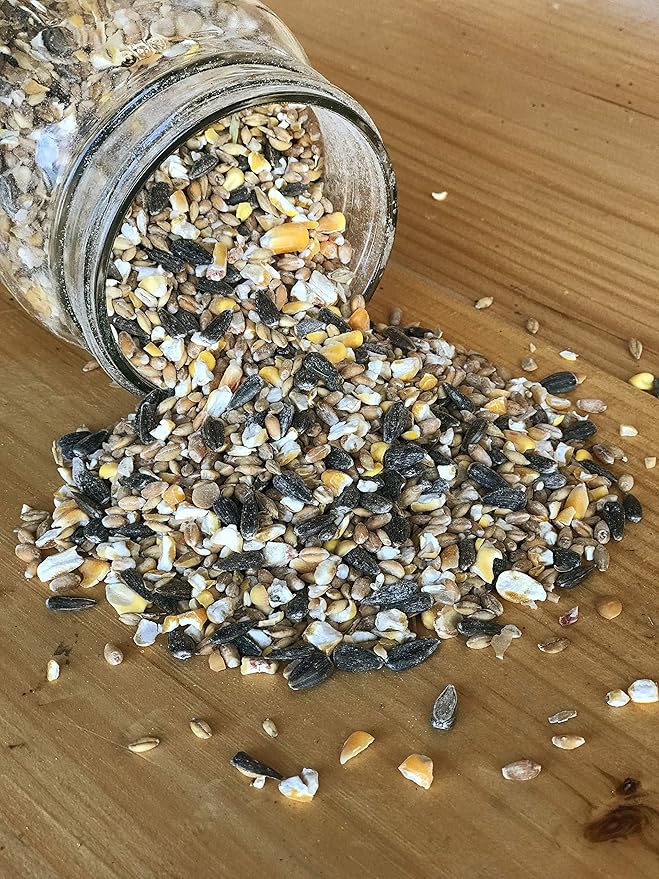 Ernst Grain & Livestock Bird and Wildlife Feed – Perfect for Birds, Ducks, Squirrels, Turkeys, Rabbits, Geese, and Deer – Non-GMO Wild Animal & Bird Feed for Outside Feeders (10 Pounds)