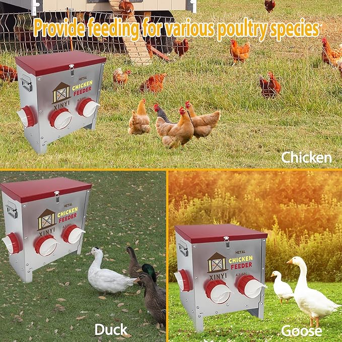 25lbs Metal Chicken Feeder, 4 Ports Galvanized Feeder, Goat Proof Auto Chicken Feeder, Weatherproof Chicken Food Dispenser System for Outdoor Coop,4.1 Gallon