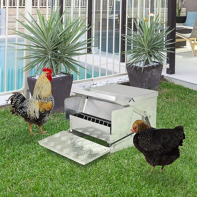 PawHut 30 lbs Capacity Automatic Chicken Poultry Feeder with a Galvanized Steel and Aluminium Build, Weatherproof Design