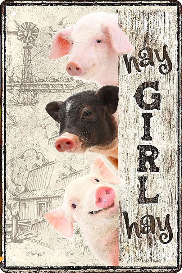 Vintage Pig Decor Gift Metal Tin Sign for Retro Farm Home Kitchen Room Farmhouse Garage Coffee Bar Wall Decor Art Poster Gifts - Hay Girl Hay - 8x12 in