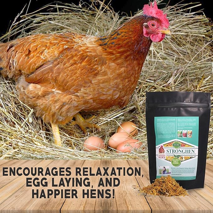Backyard Chicken Nesting Herbs All Natural Feeding Supplement to Support Healthy Immune Systems (StrongHen) (5 Ounces)