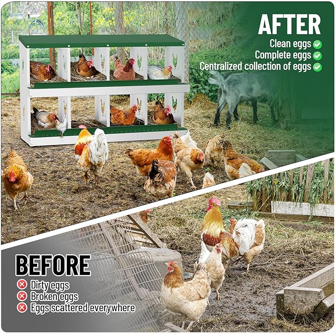 8-Compartment Metal Chicken Nesting Box - with Perch, Secure Lid & Metal Legs, Wall-Mount or Free-Standing Nesting Boxes for Hens